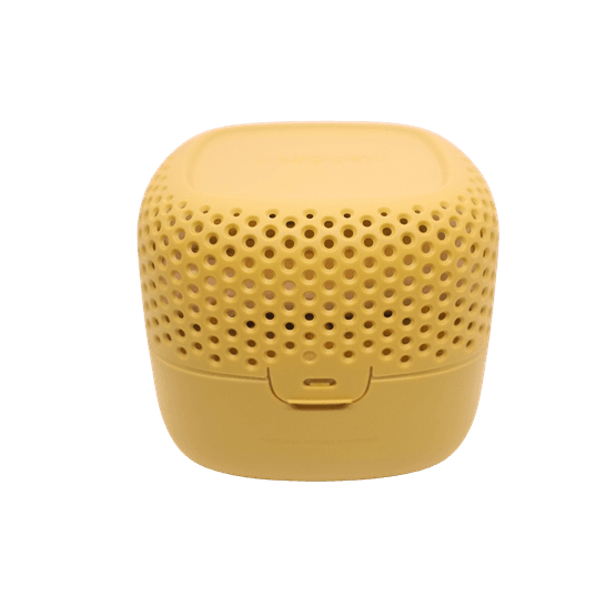 Absodry - Duo Mini Chanterelle