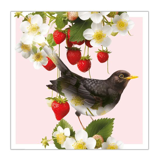 Blackbird And Strawberries