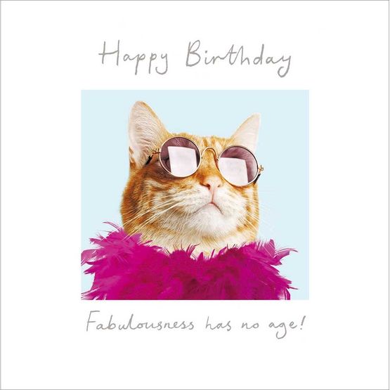 Cat In Sunglasses, Feather Boa And Hat