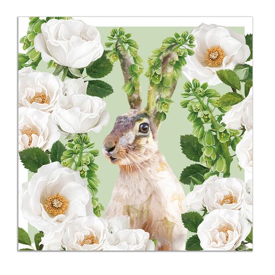 Hare With White Garden Roses