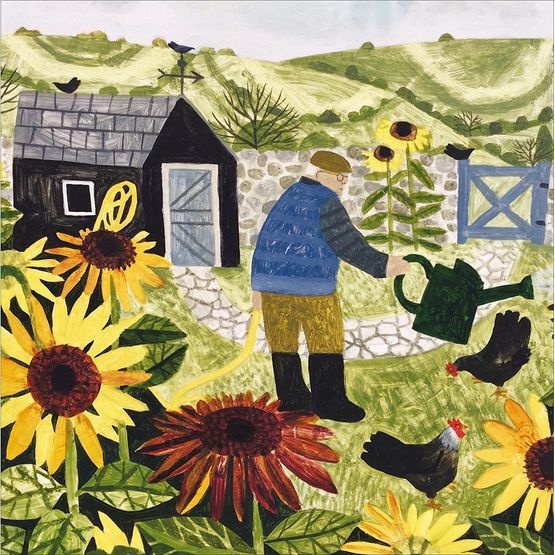 Man Watering Sunflowers