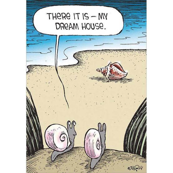 New Home Snails
