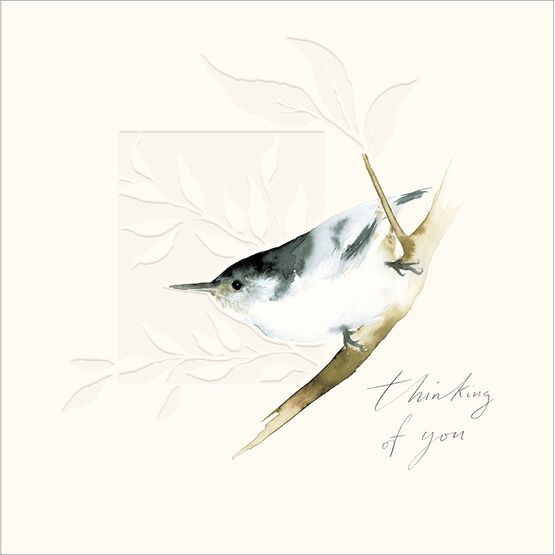 Nuthatch Thinking Of You