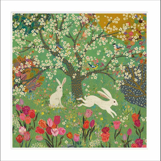 Rabbits In A Field