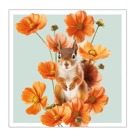 Red Squirrel And Cosmos