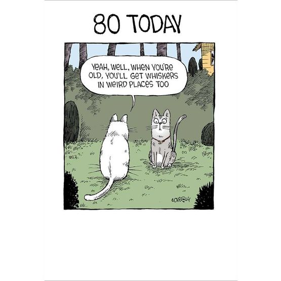 Two Cats Talking To Each Other About Whiskers