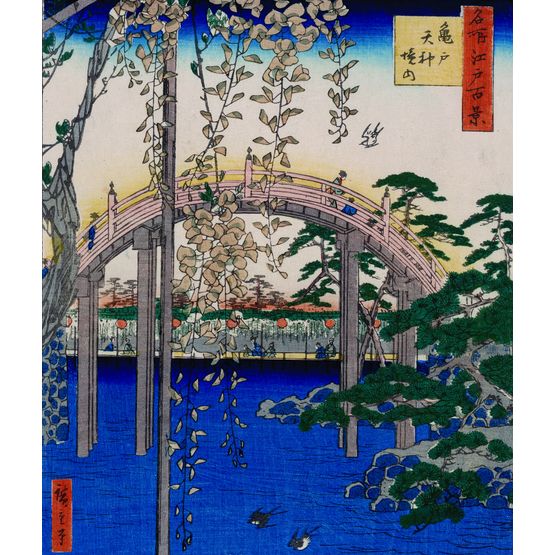 Wisteria At Kameido Tenjin Shrine