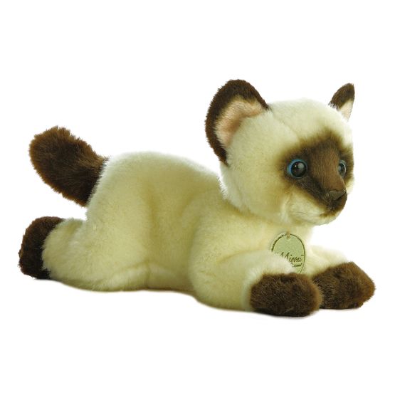 Aurora - Miyoni Siamese Cat
