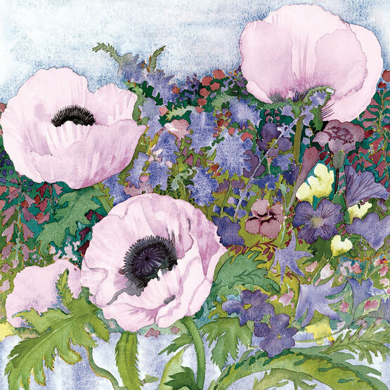 Pale Lilac Poppies