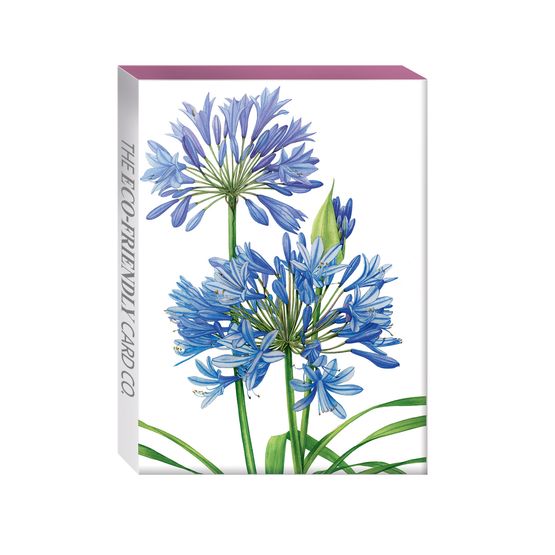 The Eco Friendly Card Co - Billy Showell Mini Box Card