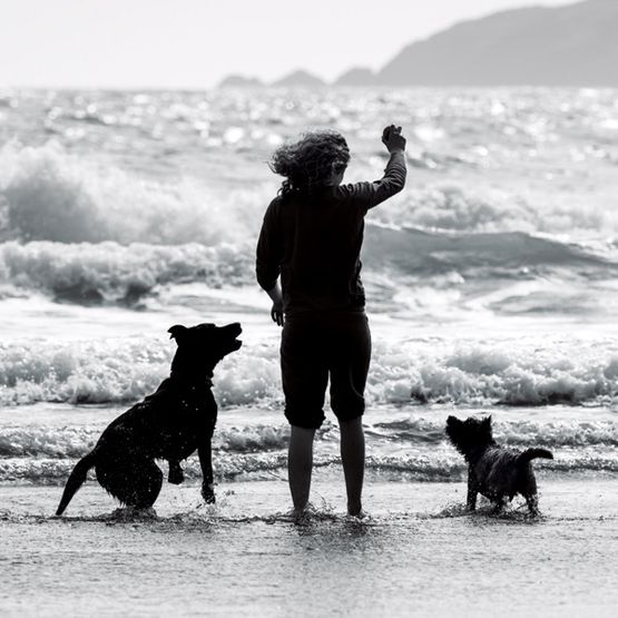 The Eco Friendly Card Co - Fetch Card