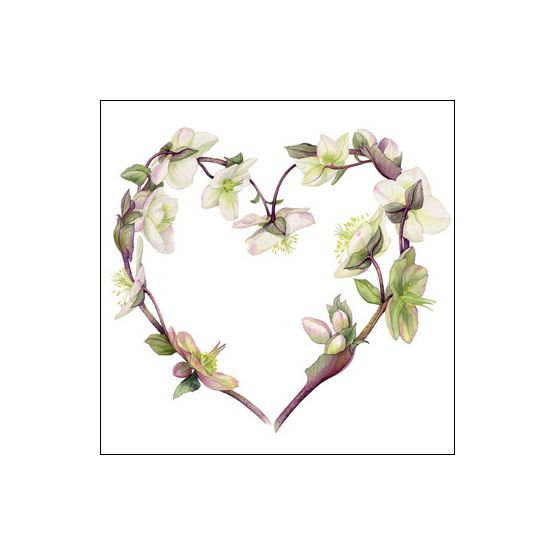 The Eco Friendly Card Co - Hellebore Heart Card
