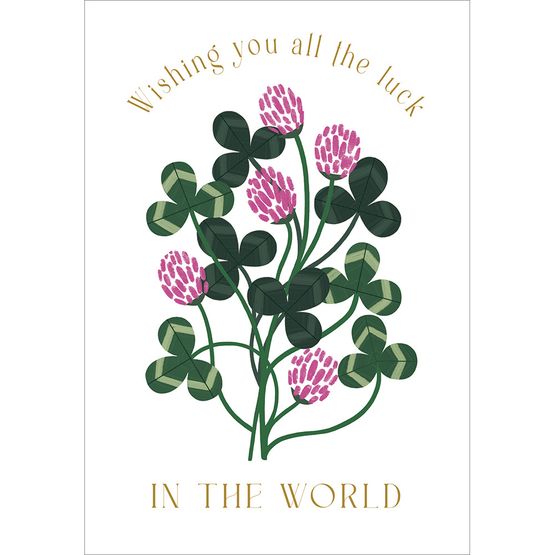 All the Luck in the World