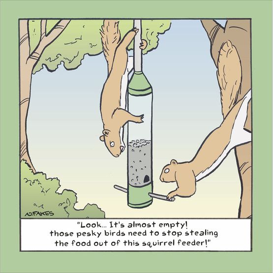 Bird Thieves