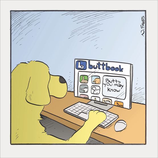 Buttbook
