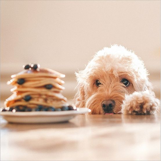 Pancake Day