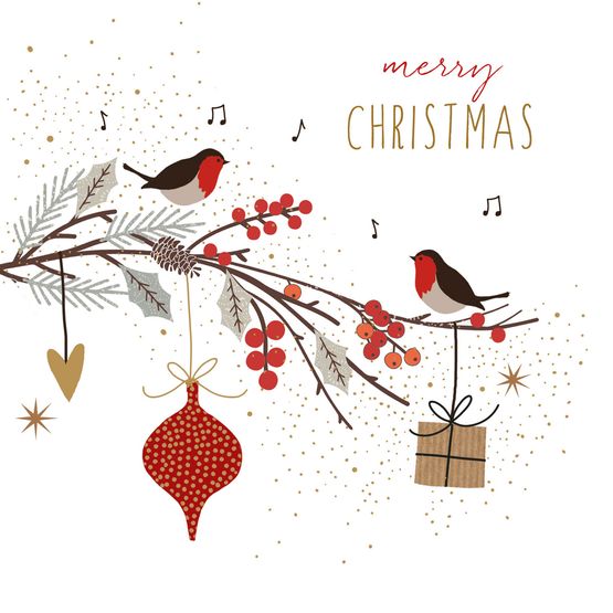 Christmas Card - Robins On Branch