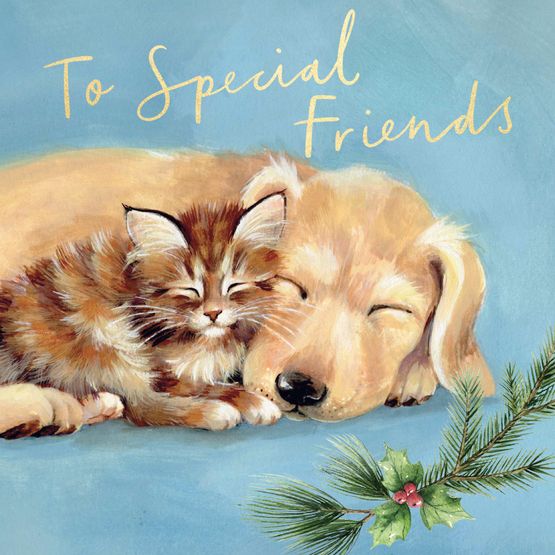 Christmas Card - Special Friends