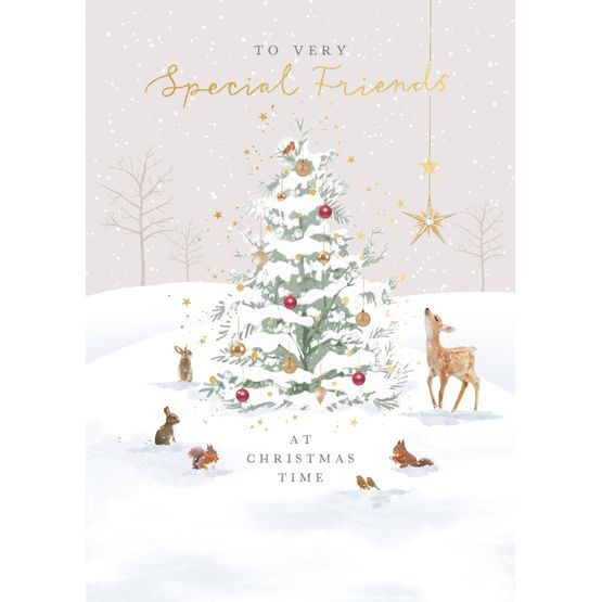Christmas Card - Special Friends