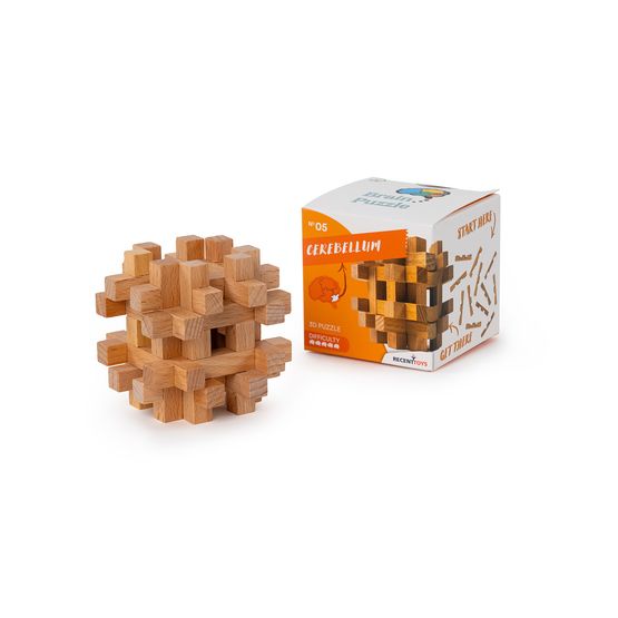 Recent Toys - Brain Puzzle #5
