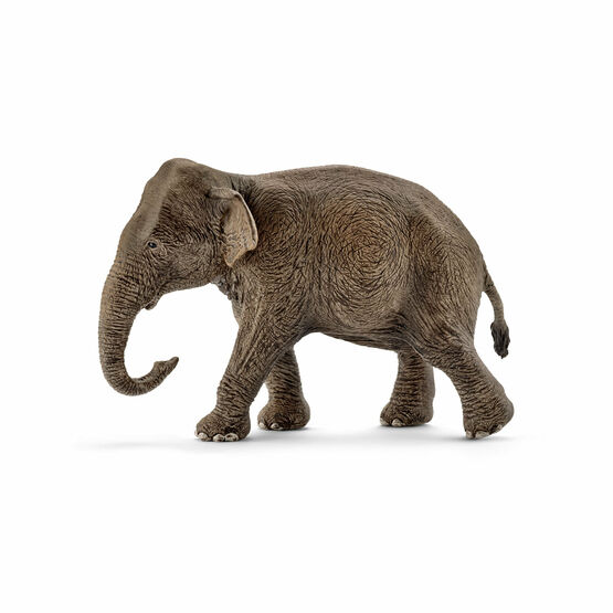 Schleich Wild Life Asian Elephant, Female - 14753