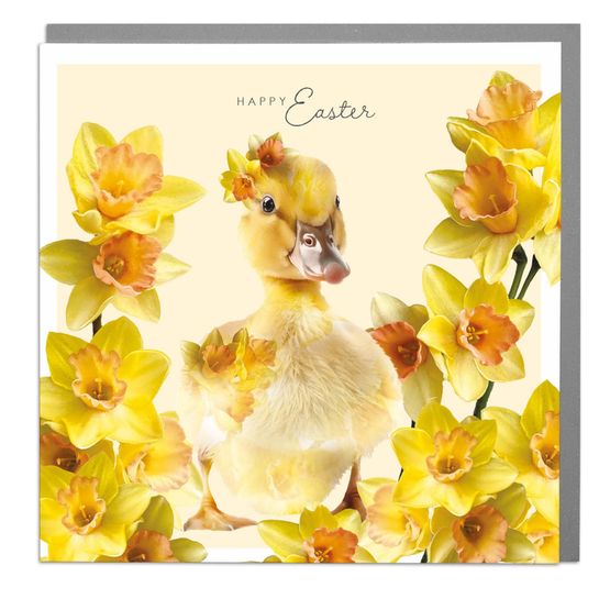Easter Card - Duckling