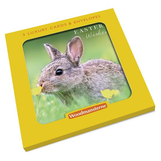Easter Card - Rabbit In A Field With Buttercups