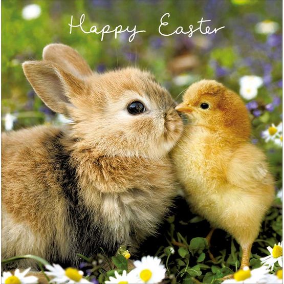 Easter Card - Rabbit With Chick