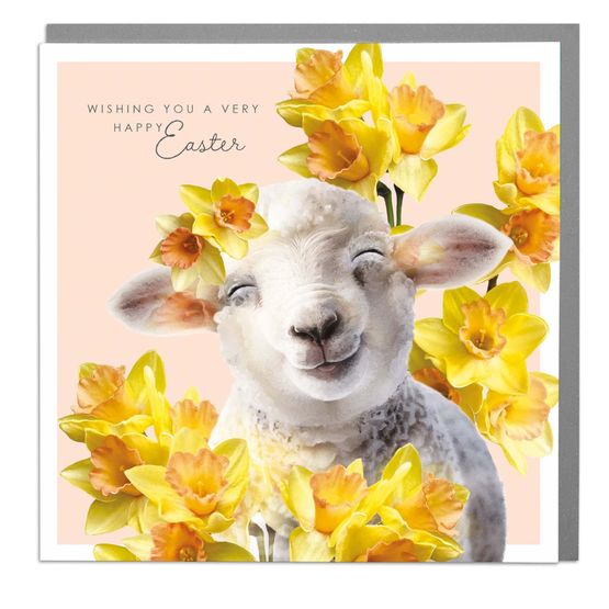 Easter Card - Sheep