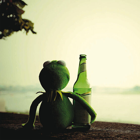Soft Frog With Beer