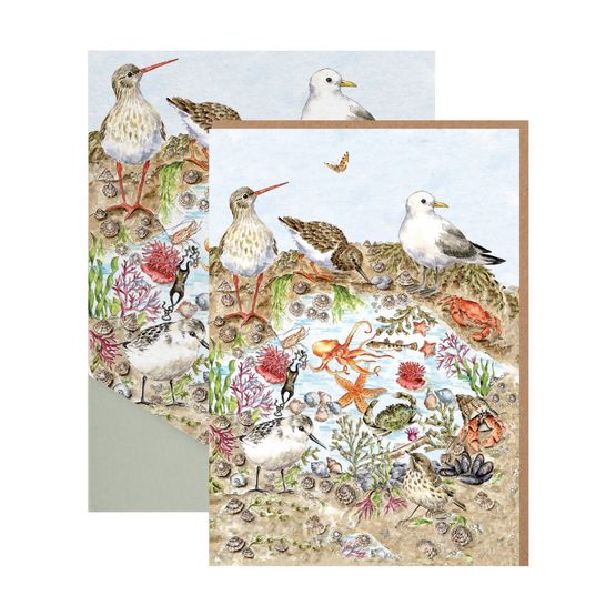 Wrendale Designs - Nature Notecard Pack Secrets of the Sea