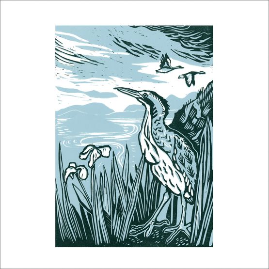 The Eco Friendly Card Co - Bittern Card