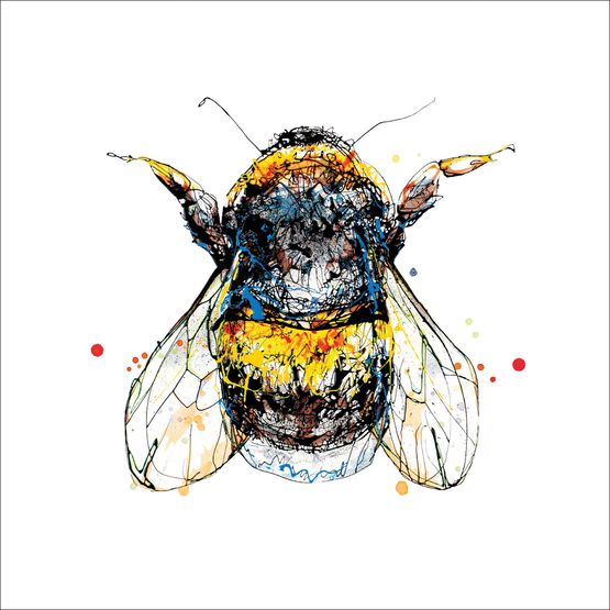 The Eco Friendly Card Co - Buzz Card