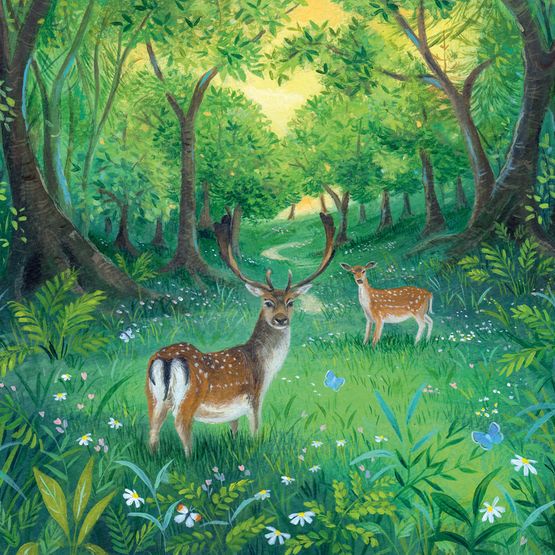 The Eco Friendly Card Co - Forest Glade Card