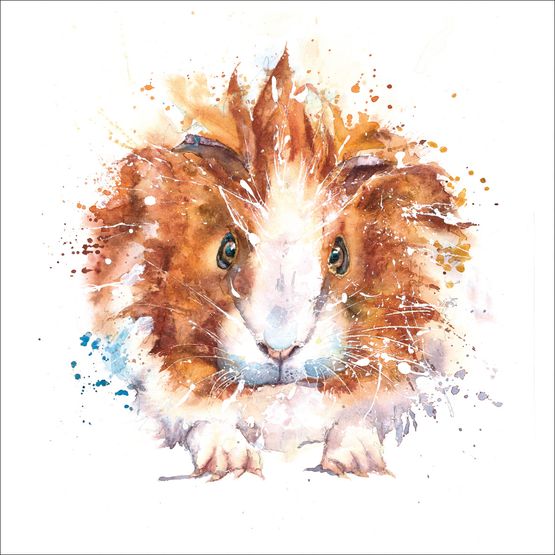 The Eco Friendly Card Co - Poppett Card