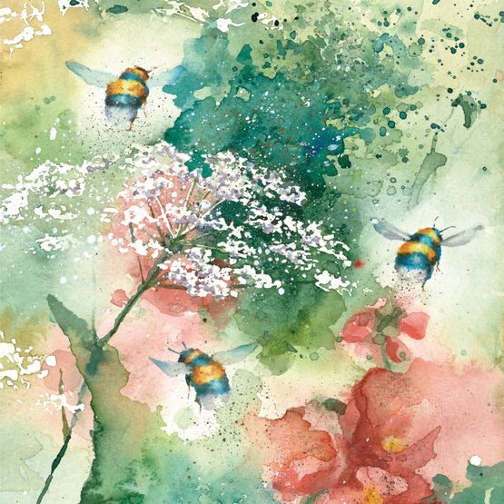 The Eco Friendly Card Co - Queen Anne's Lace Card