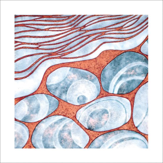 The Eco Friendly Card Co - Seashore Card