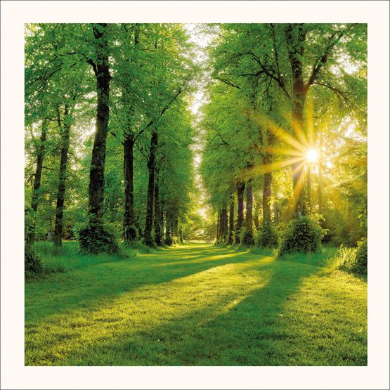 The Eco Friendly Card Co - Summer Sunburst Card