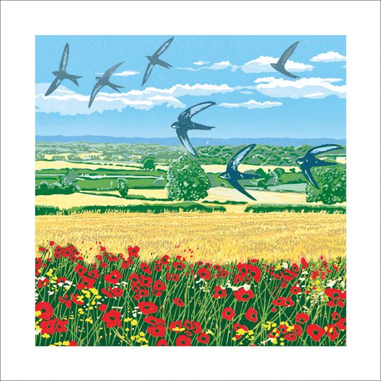 The Eco Friendly Card Co - Summer Swifts Card