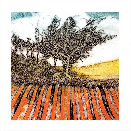 The Eco Friendly Card Co - Tangled &amp; Combed Card