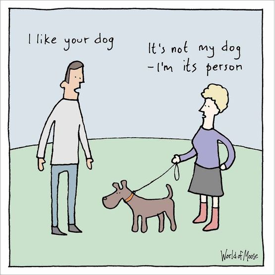 A Dog's World