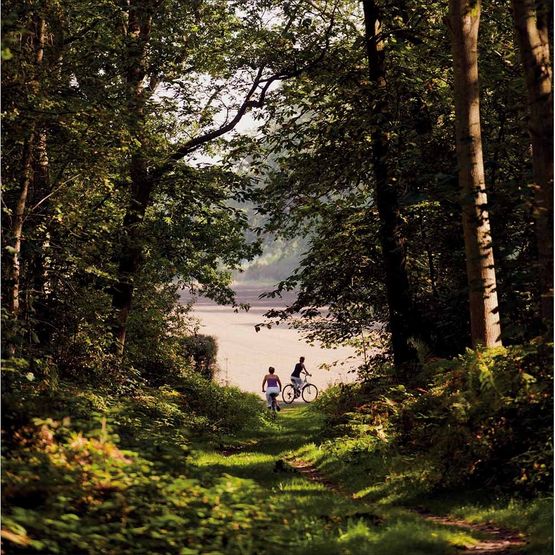 Blickling Estate, Norfolk