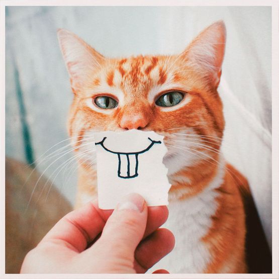 Buck Tooth Kitty Greetings Card