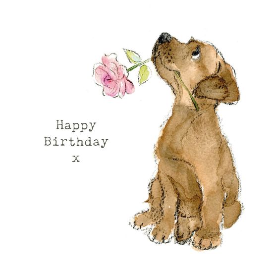 Chocolate Labrador With Flower Greetings Card