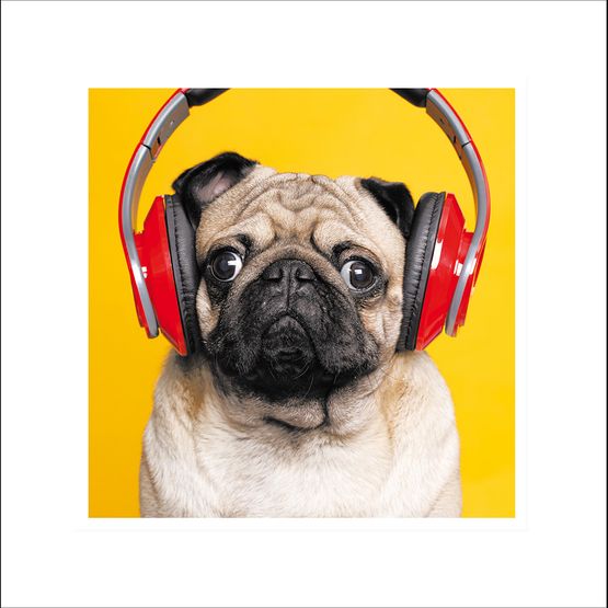 Doggy DJ Greetings Card