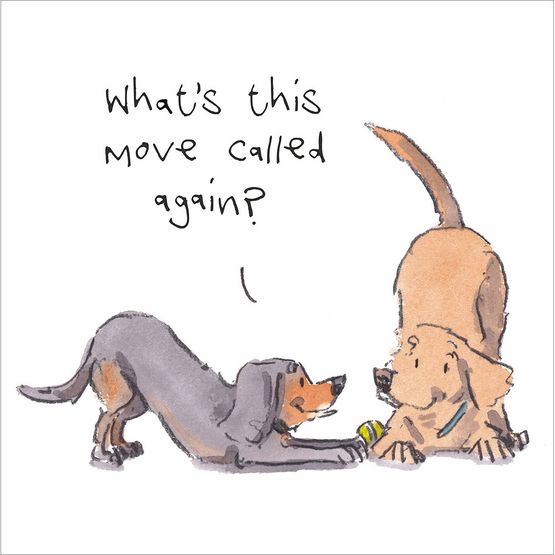 Downward Dog Greetings Card