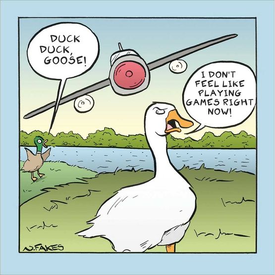 Duck! Duck, Goose! Greetings Card