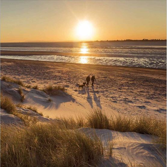 East Head, West Sussex Greetings Card