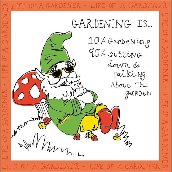 Garden Gnome Greetings Card