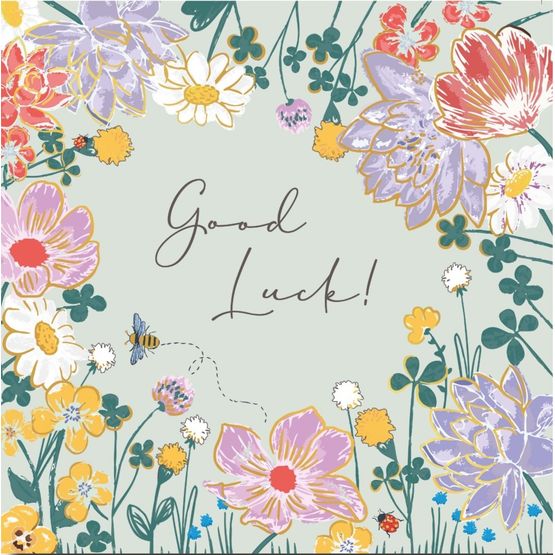 Good Luck Greetings Card